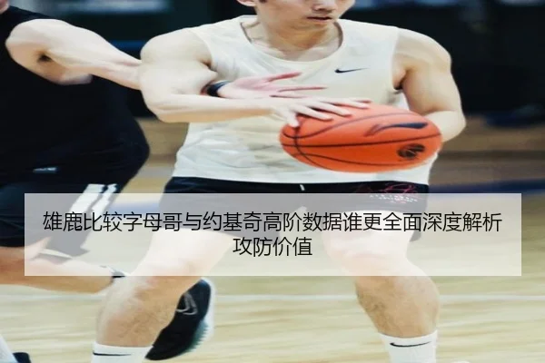 雄鹿比较字母哥与约基奇高阶数据谁更全面深度解析攻防价值